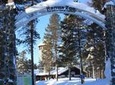 Ranua Zoo Trip from Rovaniemi with lunch