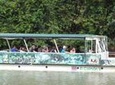 Unique Caño Negro 