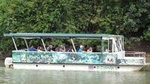 Unique Caño Negro 