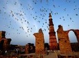 Plan your own Sightseeing Tour in Delhi with Guide & Transport