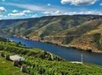 Private off the beaten Douro Valley Tour