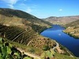 Douro Valley small-group tour from Porto with wine tasting and river cruise