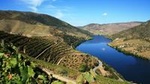 Douro Valley small-group tour from Porto with wine tasting and river cruise