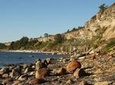 Estonian Seaside Tour
