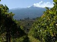 Mt Etna and Wine tasting tour from Catania