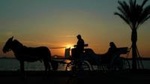 3-Hour Private Luxor Horse Carriage City Tour