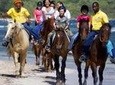 Falmouth Shore Excursion: Braco Stables Horseback Ride and Swim