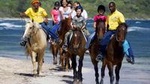 Falmouth Shore Excursion: Braco Stables Horseback Ride and Swim