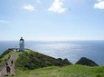 Far North New Zealand Tour Including 90 Mile Beach and Cape Reinga from Paihia