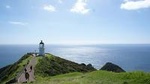 Far North New Zealand Tour Including 90 Mile Beach and Cape Reinga from Paihia