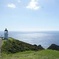 Far North New Zealand Tour Including 90 Mile Beach and Cape Reinga from Paihia