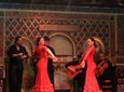 Flamenco Show in Madrid with one drink