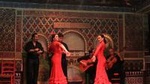 Flamenco Show in Madrid with one drink