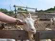 Full-Day Countryside Off-Road Vehicle Tour from Prague
