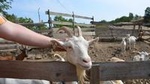 Full-Day Countryside Off-Road Vehicle Tour from Prague