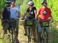 Full-Day Marlborough Wine Region Bike Hire