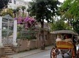 Cruise to the Princes' Islands 
