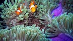 Full-Day Racha Noi and Racha Yai Snorkeling from Phuket