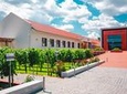 Full-Day Shabo Wine Culture Center Private Tour in Odessa
