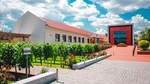 Full-Day Shabo Wine Culture Center Private Tour in Odessa