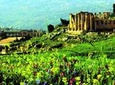 Full Day Tour to Jerash and Amman Panoramic from Dead Sea