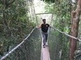 Day Tour Rainforest Taman Negara 