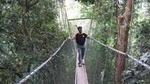 Day Tour Rainforest Taman Negara 