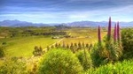 Full-Day Wine Gourmet and Scenic Delight Tour of Marlborough from Blenheim