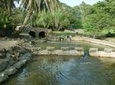 Bethany Baptism Jordan River Site and Al-Salt City Visit from Amman