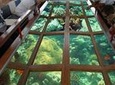 Glass Bottom Boat in dahab 