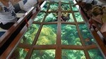 Glass Bottom Boat in dahab 