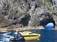 Half-Day Bay of Islands Discovery Tour from Paihia