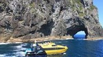 Half-Day Bay of Islands Discovery Tour from Paihia