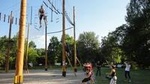 Half-Day Low-Ropes and High-Rope Challenge Course in Prague