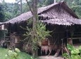 Half-Day Mari Mari Cultural Village from Kota Kinabalu