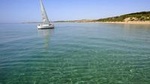 Half-Day Sailing Excursion