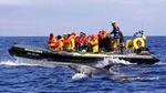 Half-Day Whale and Dolphin Watching Tour in Ponta Delgada