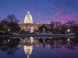 Washington DC Holiday Lights Sightseeing Tour