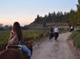 Horseback Private Wine Tour and Country Grill from Santiago