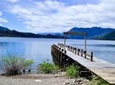 Hua Hum Day Trip from San Martin de los Andes including Lanin National Park