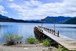 Hua Hum Day Trip from San Martin de los Andes including Lanin National Park