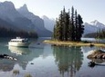 5.5-Hour Jasper Wildlife and Waterfalls Tour with Maligne Lake Cruise from Jasper