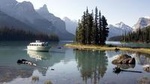 5.5-Hour Jasper Wildlife and Waterfalls Tour with Maligne Lake Cruise from Jasper