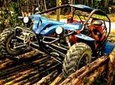 Jungle Buggy Tour from Playa del Carmen Including Cenote Swim