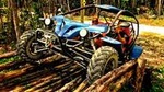 Jungle Buggy Tour from Playa del Carmen Including Cenote Swim