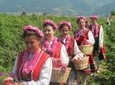 Kazanlak Full-Day Tour from Sofia