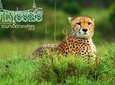 Kruger National Park Overnight Guided Safari Tour from Johannesburg