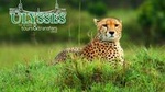 Kruger National Park Overnight Guided Safari Tour from Johannesburg