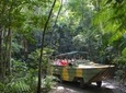 Kuranda Highlights including Rainforestation Aboriginal Culture and Wildlife