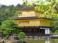 Private Kyoto Custom One Day Tour by Chartered Vehicle